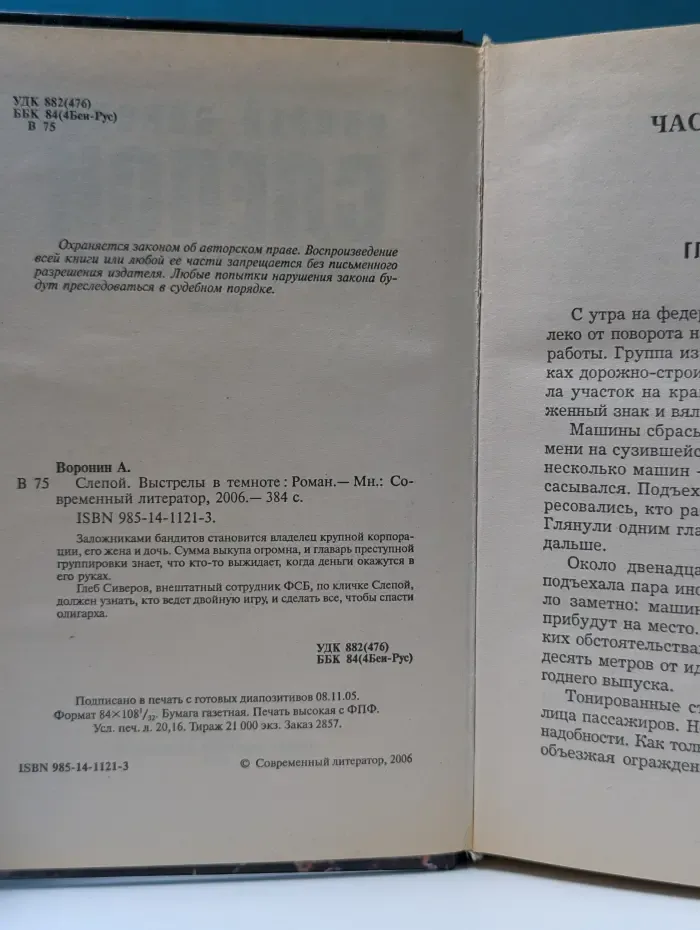 Слепой. Выстрелы в темноте