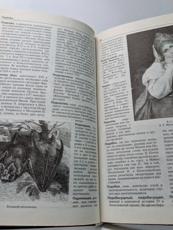 Иллюстрированный энциклопедический словарь Ф. А. Брокгауза и И. А. Ефрона. Том 16