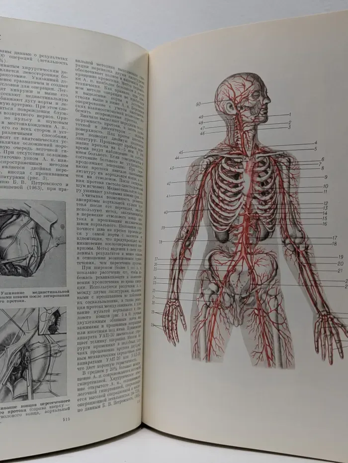Большая медицинская энциклопедия. В 30 томах. Том 2