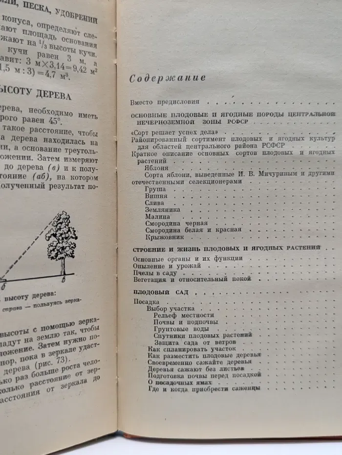 Практические советы по садоводству
