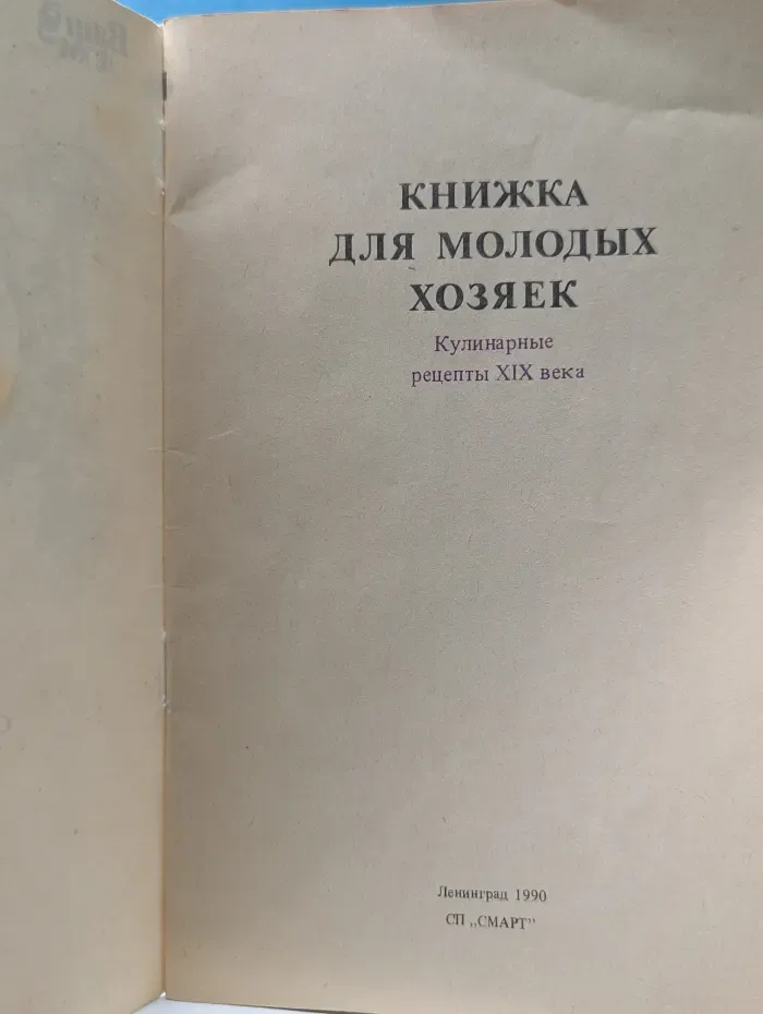 Ваш дом. Книжка для молодых хозяек. Кулинарные рецепты XIX века
