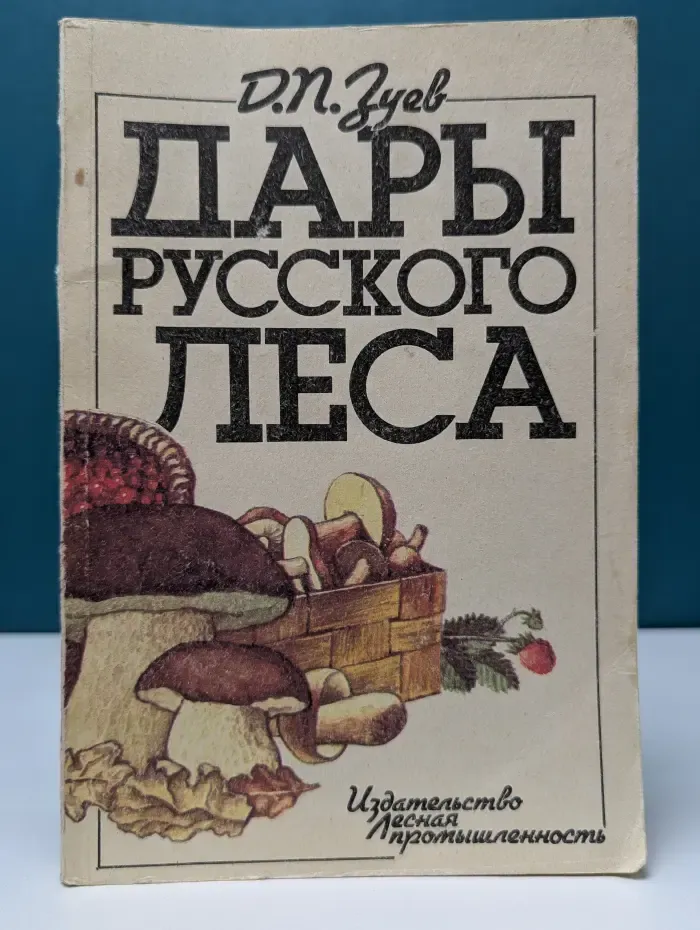 Дары русского леса