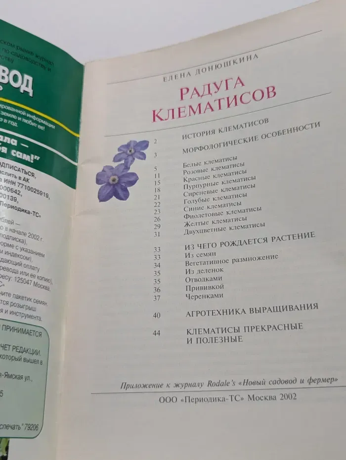 Радуга клематисов