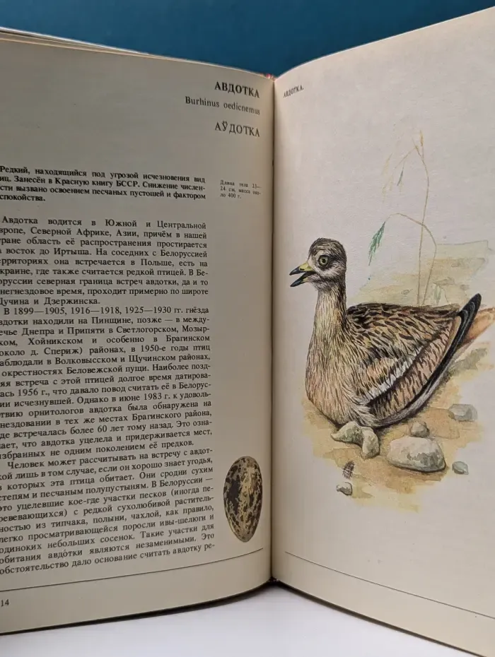 По страницам Красной книги. Животные