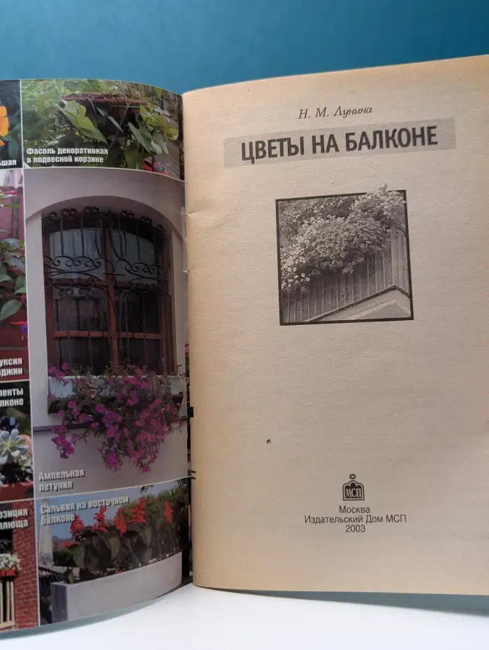 Цветы на балконе