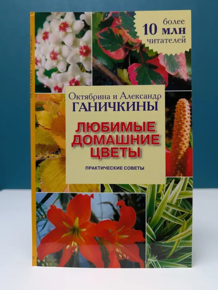 Любимые домашние цветы. Практические советы