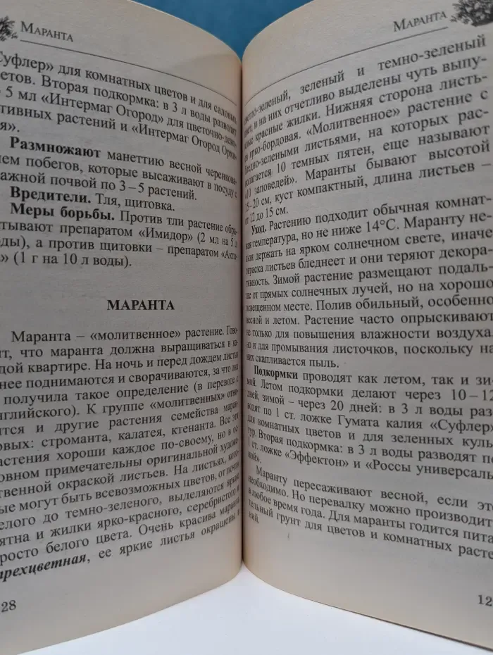 Любимые домашние цветы. Практические советы