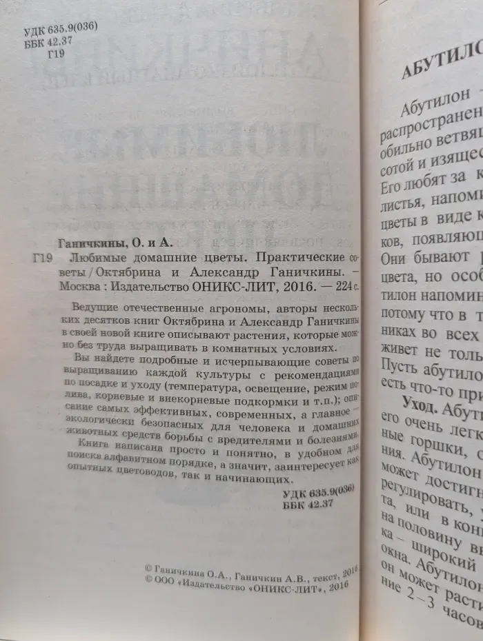 Любимые домашние цветы. Практические советы