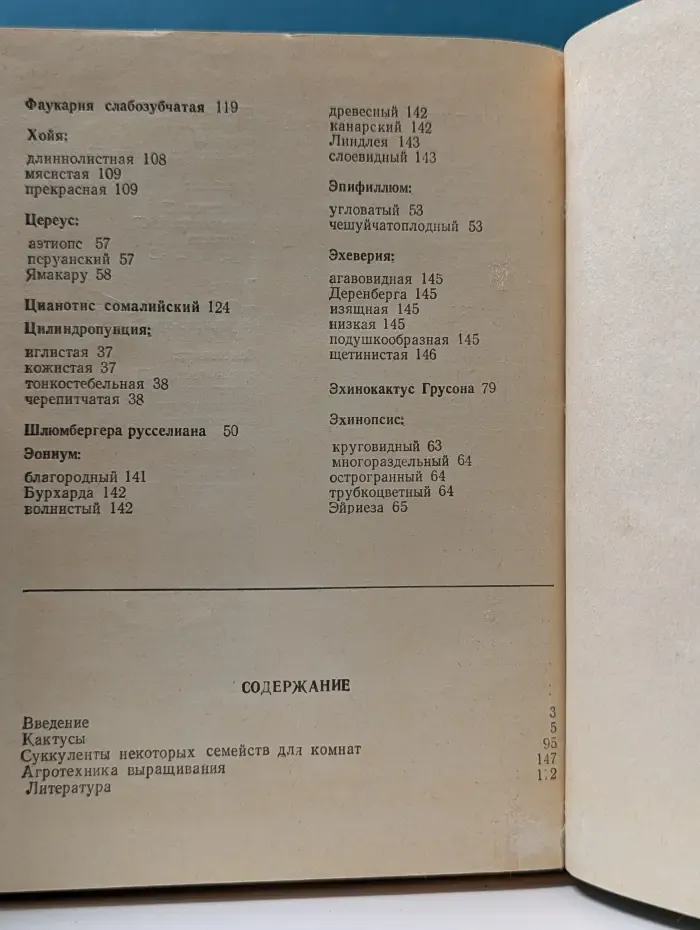 Кактусы и другие суккуленты в комнатах