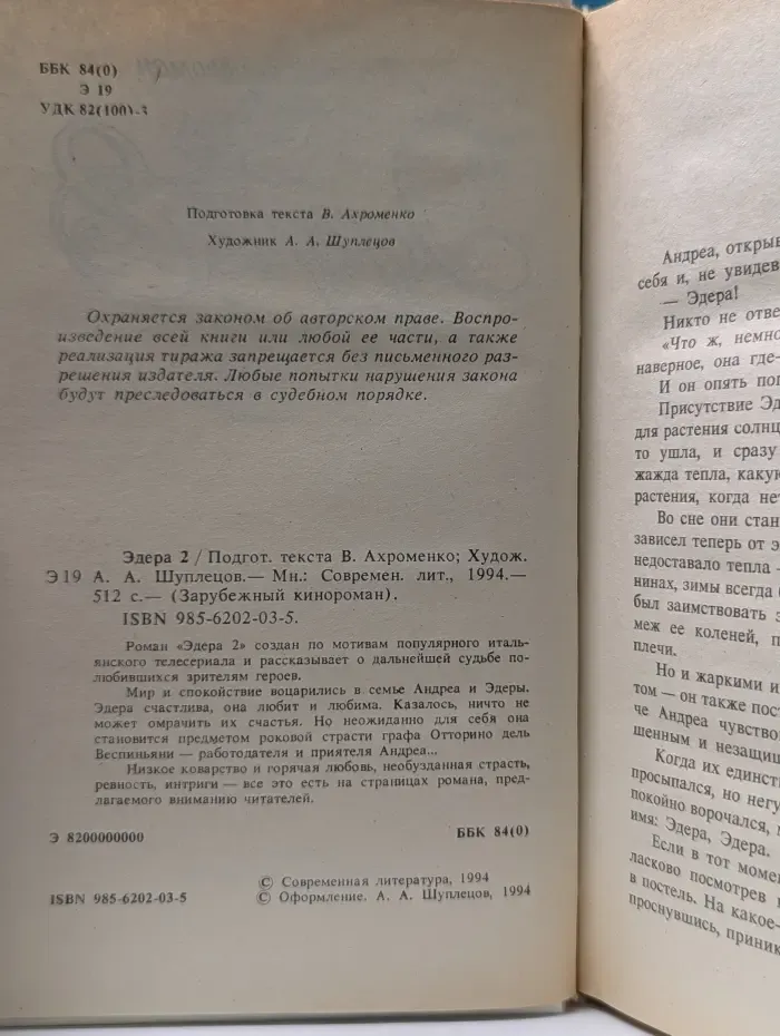 Зарубежный кинороман. Эдера 2