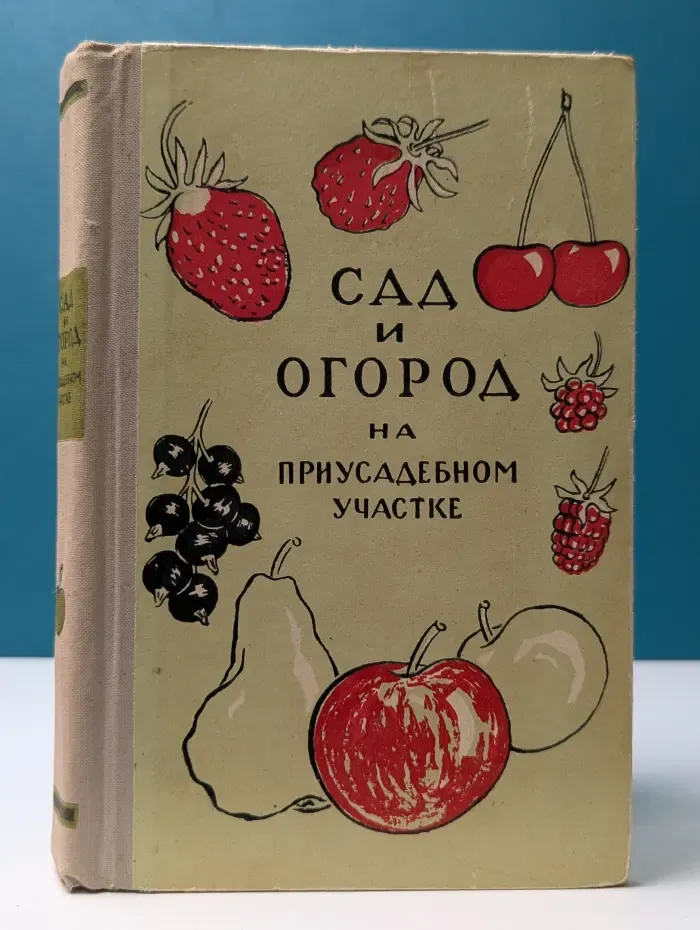 Сад и огород на приусадебном участке