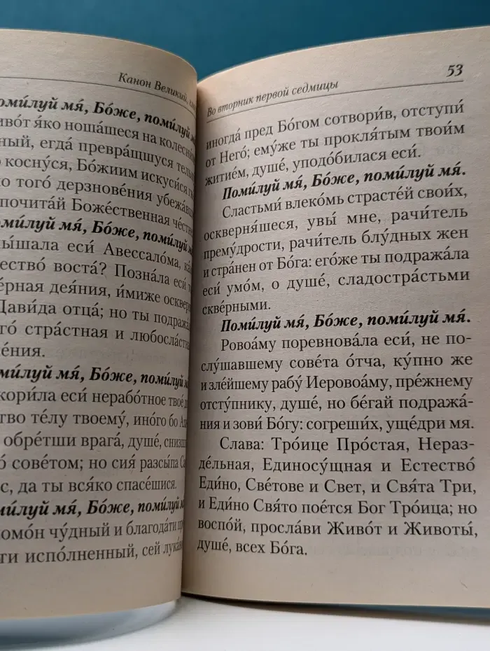 Великий покаянный канон. Творение святого Андрея Критского