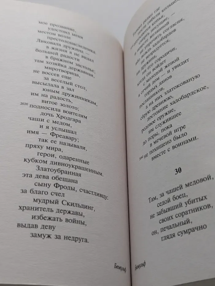 Эксклюзивная классика. Беовульф