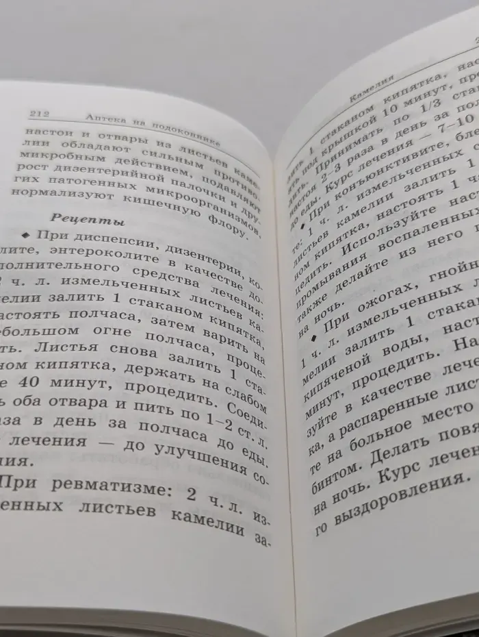 Божья аптека на подоконнике