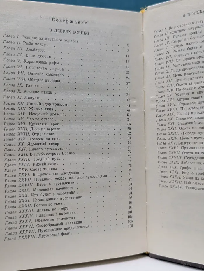 В дебрях Борнео, или Приключения потерпевших кораблекрушение. В поисках белого бизона, или Мальчики-охотники с берегов Миссисипи