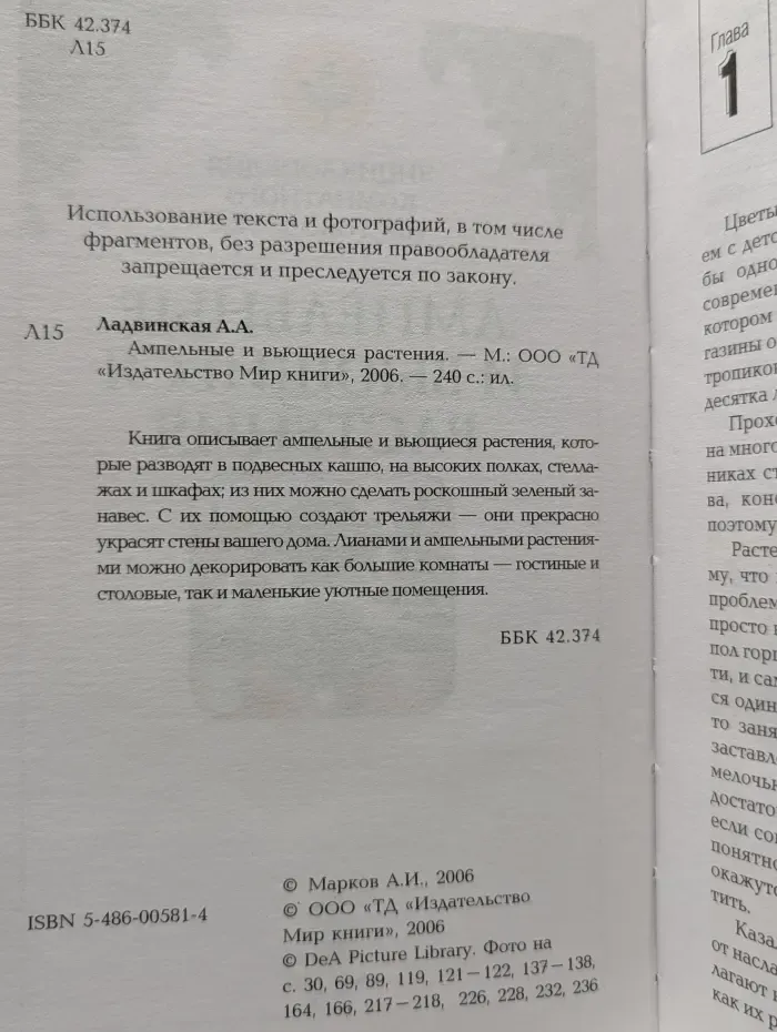 Энциклопедия комнатного цветоводства. Ампельные и вьющиеся растения