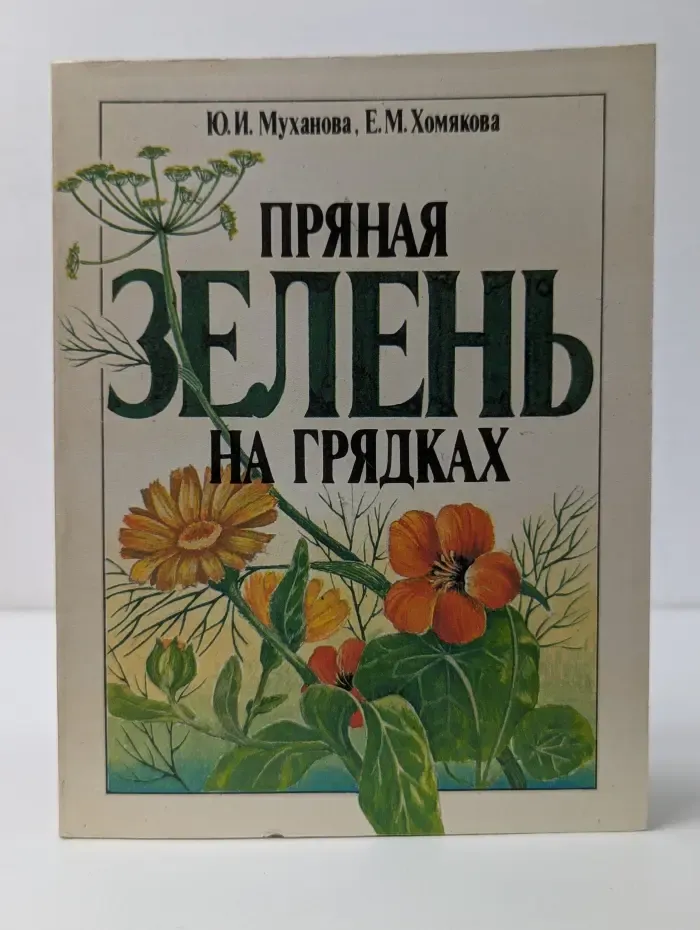 Пряная зелень на грядках