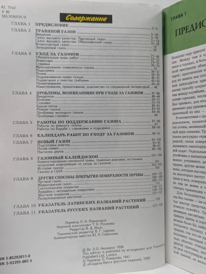 Все о газоне
