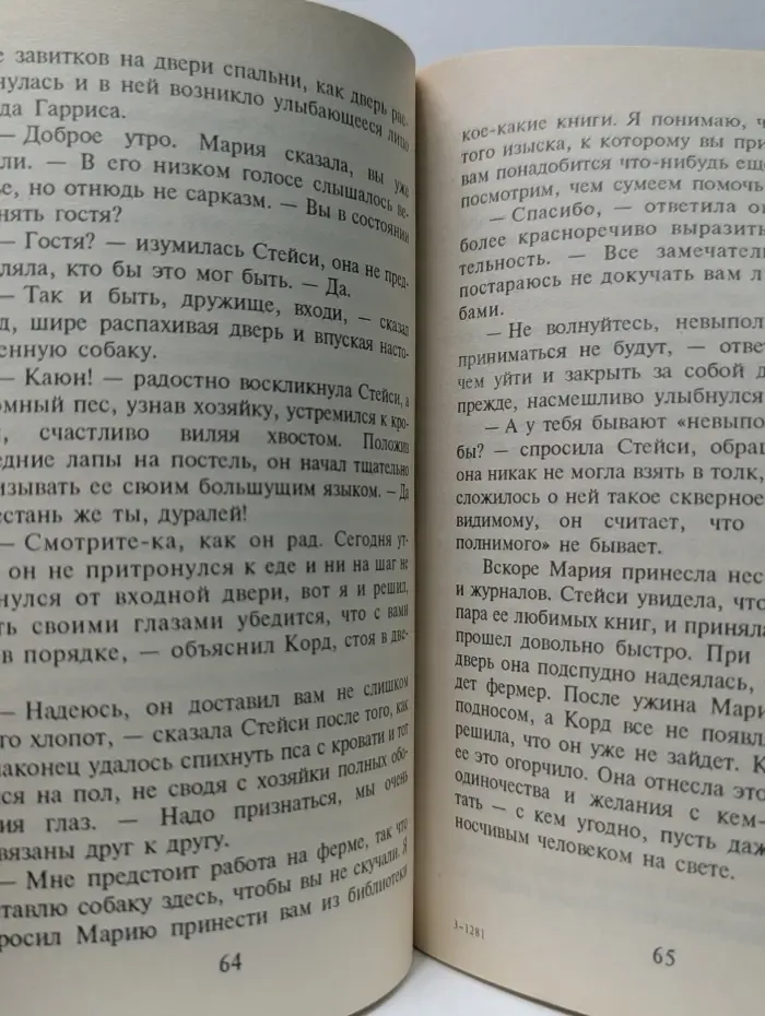 Любовный роман. Я все снесу