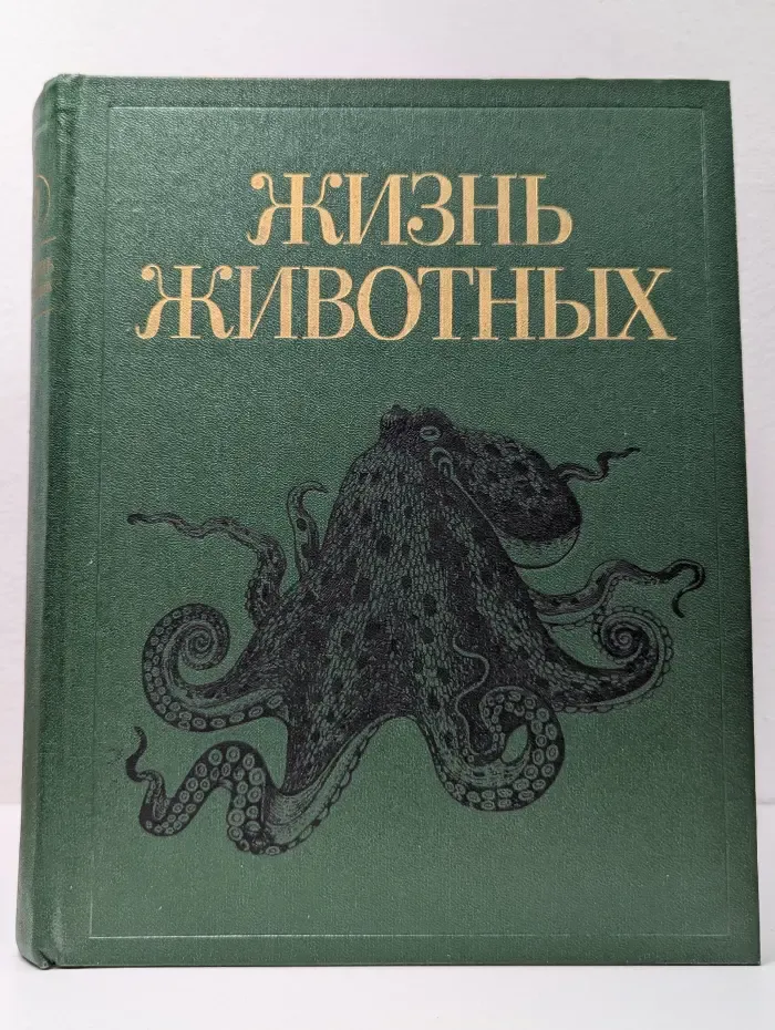 Жизнь животных. В 7 томах. Том 2. Моллюски. Иглокожие