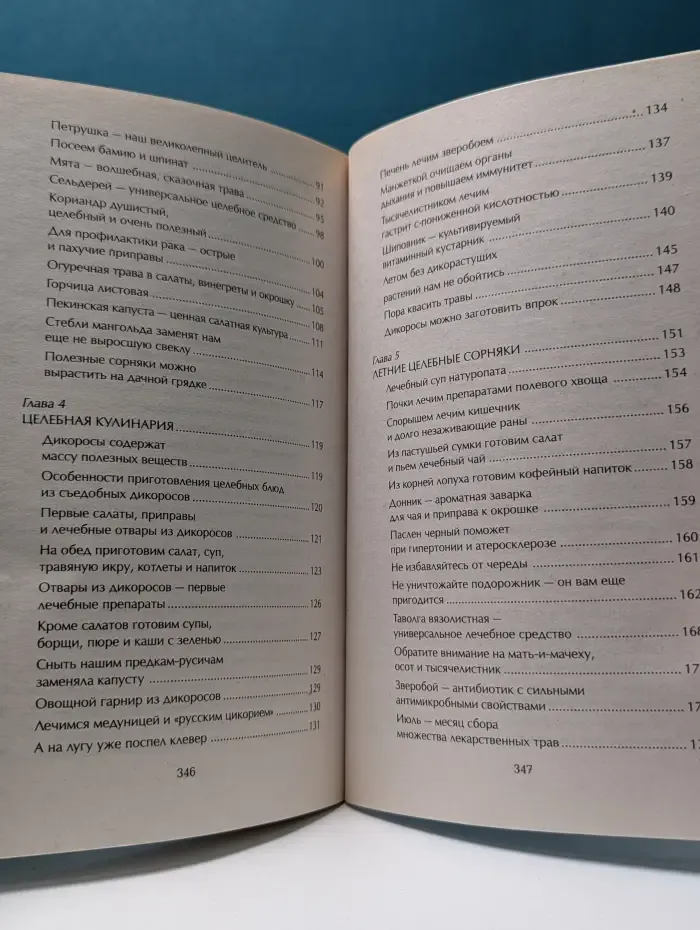Наши дачные лекари-живые витамины. Овощные и дикорастущие растения