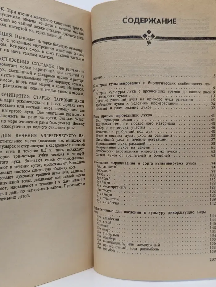 Лук и чеснок на приусадебном участке