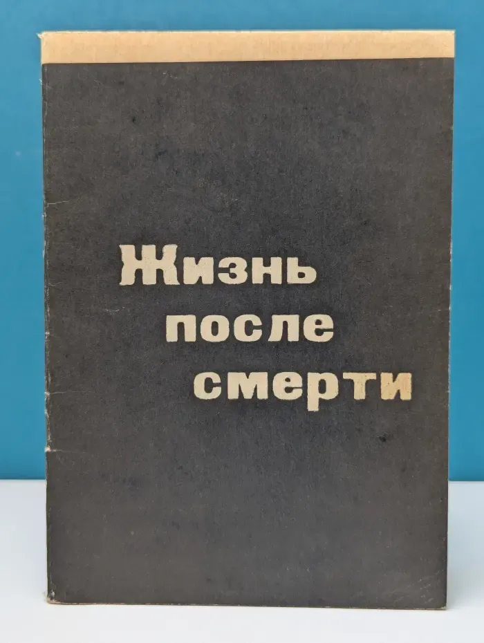 Жизнь после см*рти