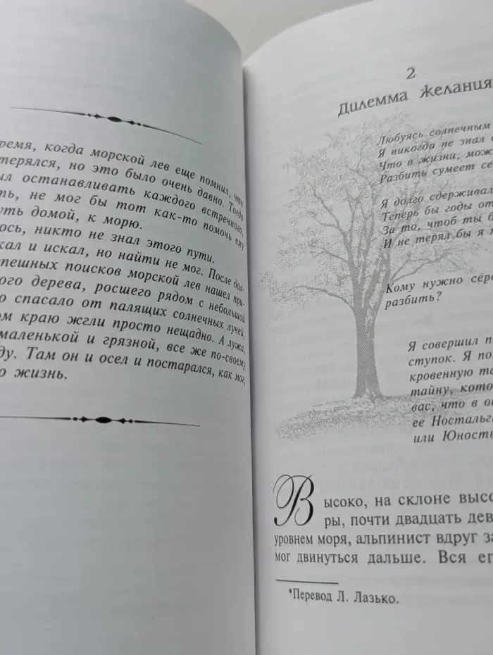 Путь желания. Поиски жизни, о которой можно только мечтать
