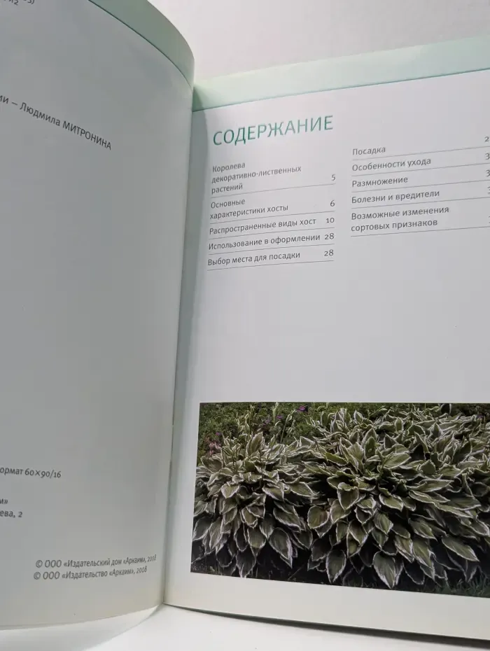 Мой цветущий сад. Хосты. Функции