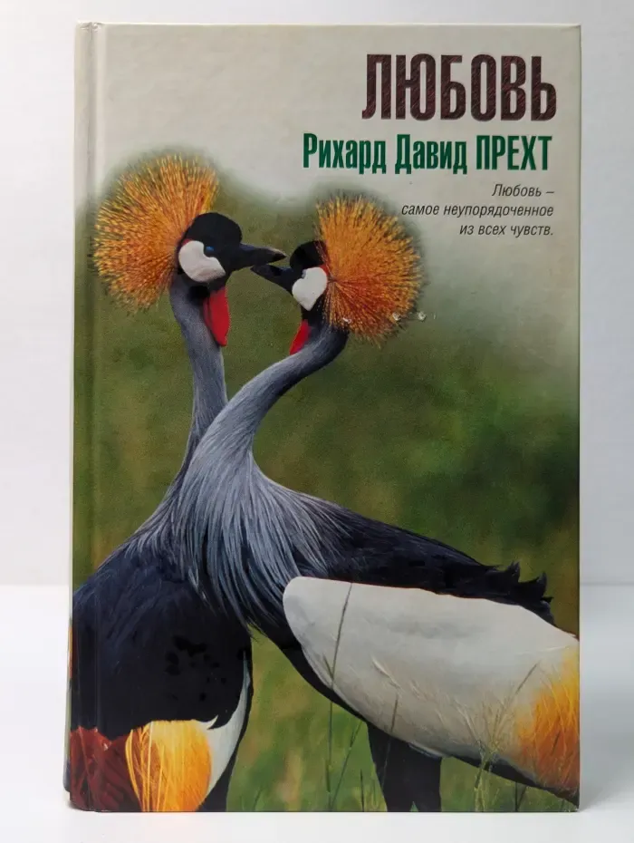 Любовь. Самое неупорядоченное чувство