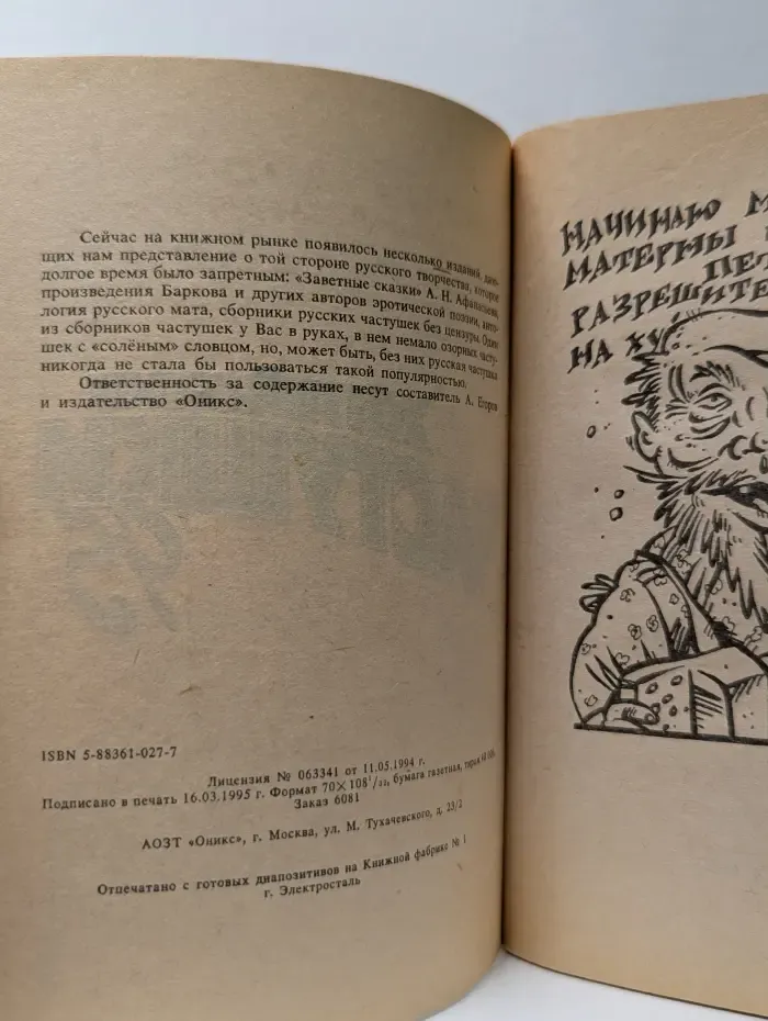 Житейские частушки '95
