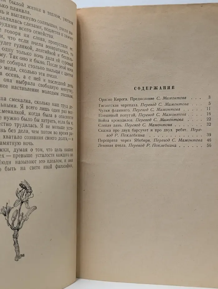 Сказки сельвы