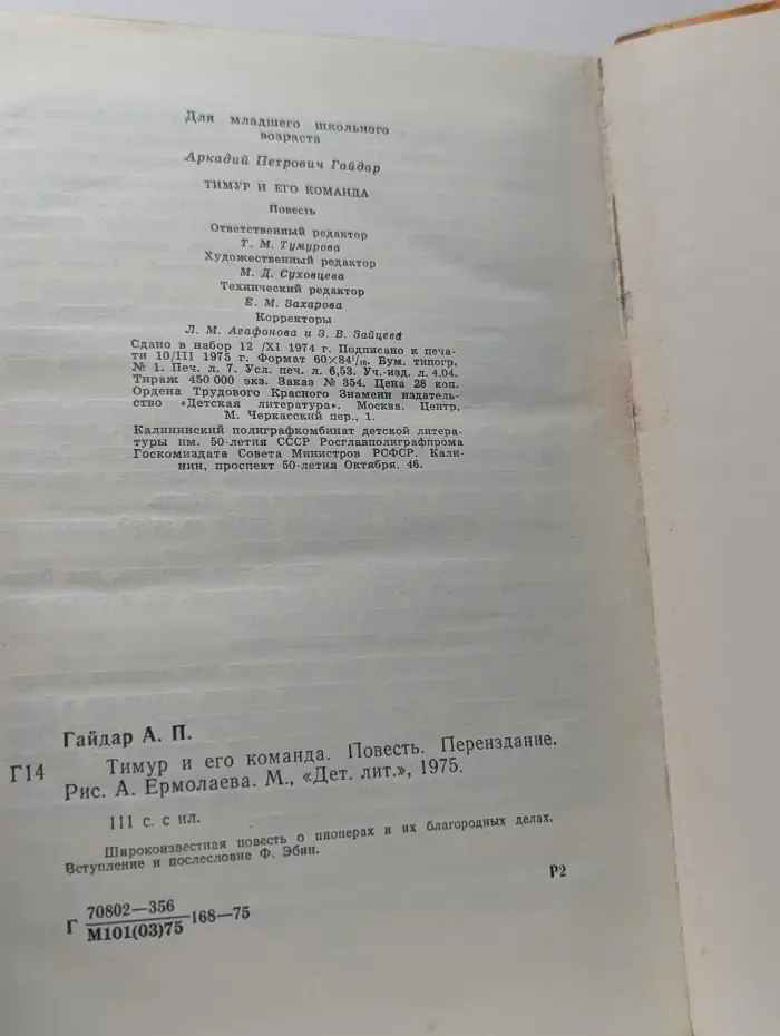 Тимур и его команда