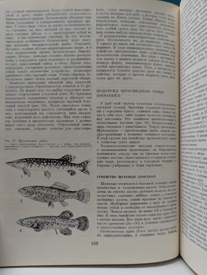Жизнь животных. В 7 томах. Том 4