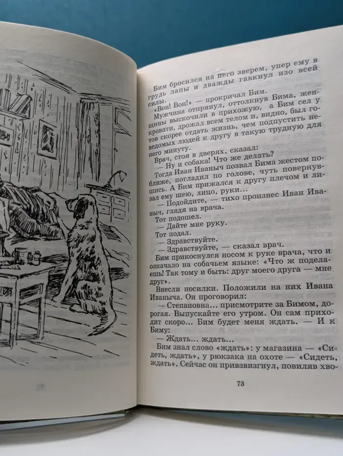 Школьная библиотека.. Белый Бим Черное ухо