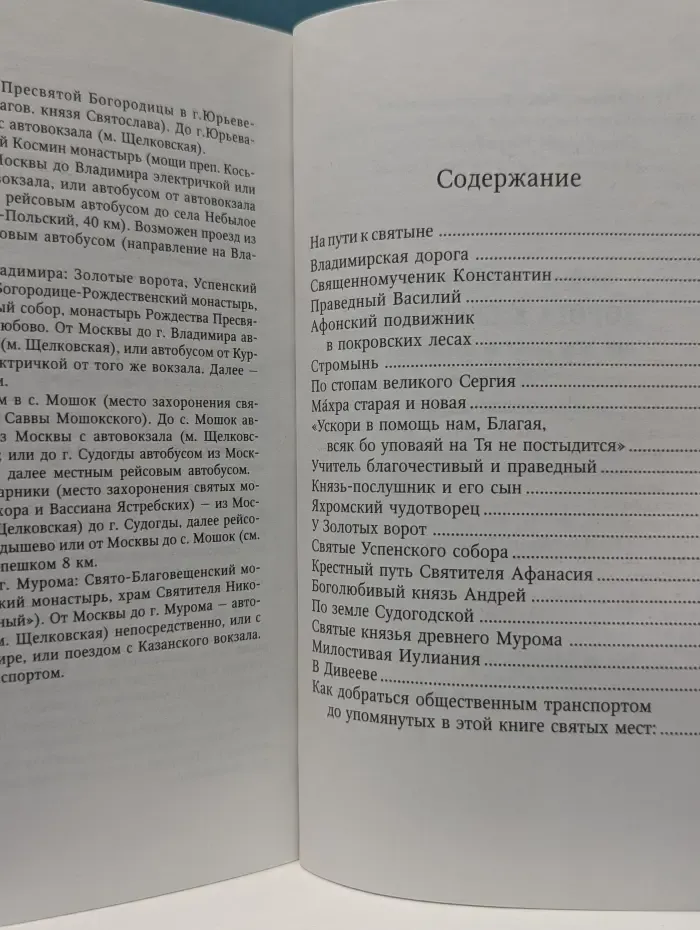 Дорога к святыне. Из Москвы в Дивеево