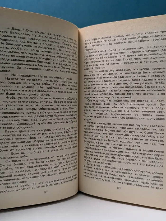 Ты, Марианна. Книга 4
