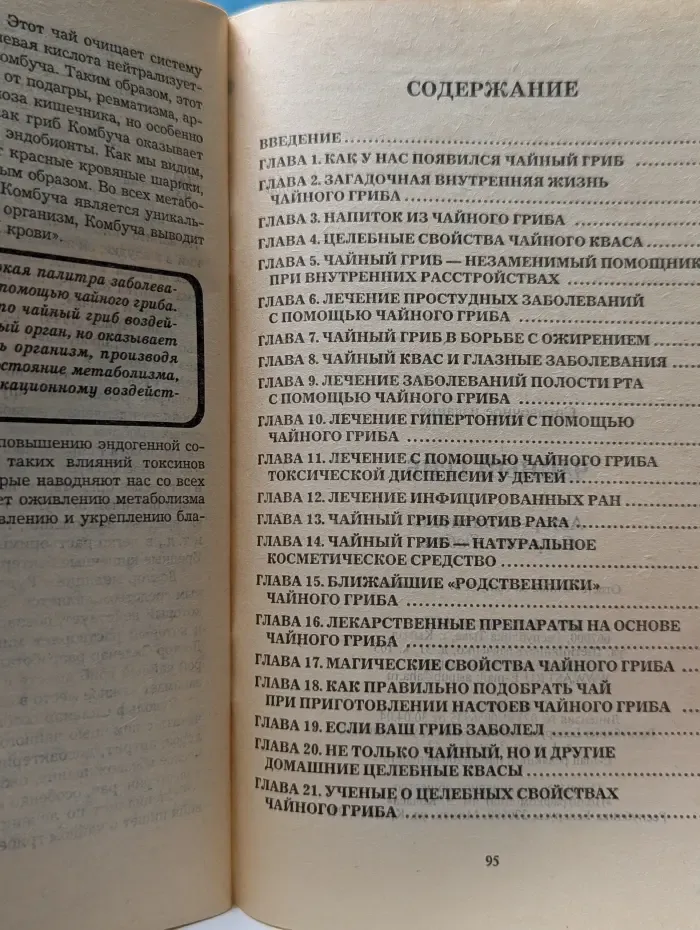 Чайный гриб