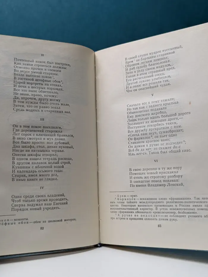 Евгений Онегин. Стихотворения