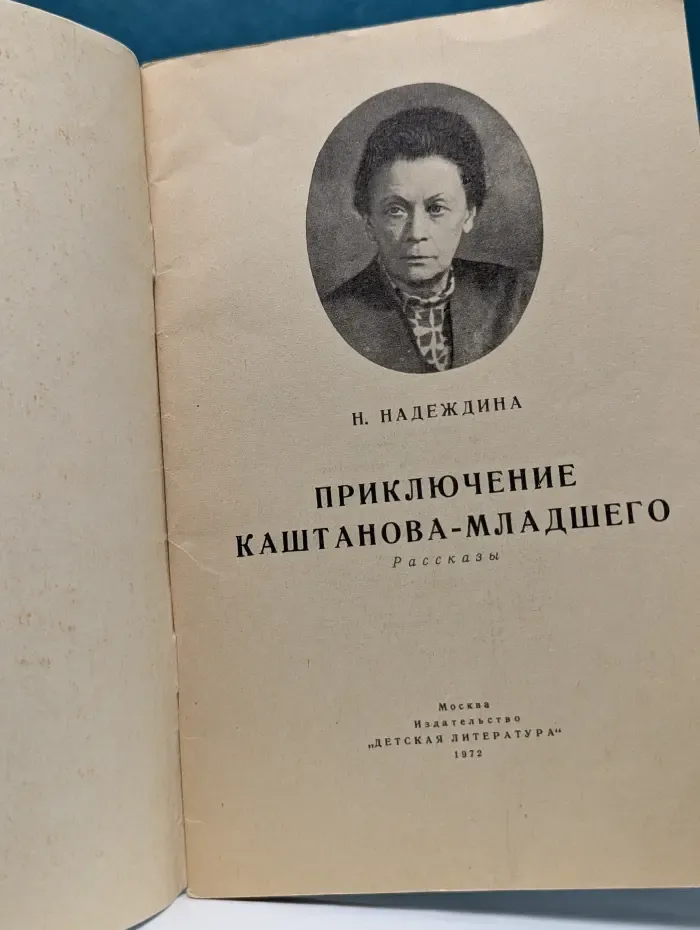 Приключение Каштанова-младшего