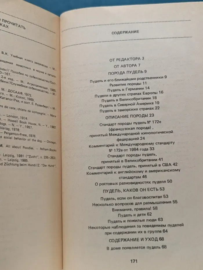 Пудель