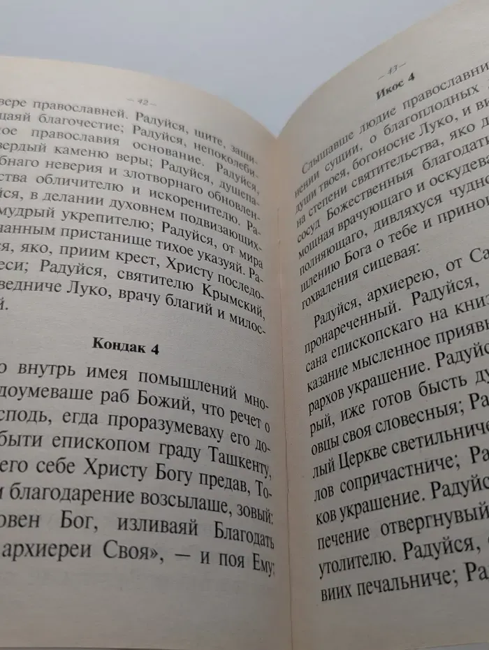 Молитвы в различных скорбях и нуждах. Акафисты, читаемые в болезнях или за больных