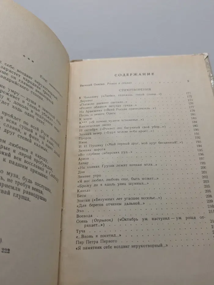 Школьная библиотека. Евгений Онегин. Стихотворения