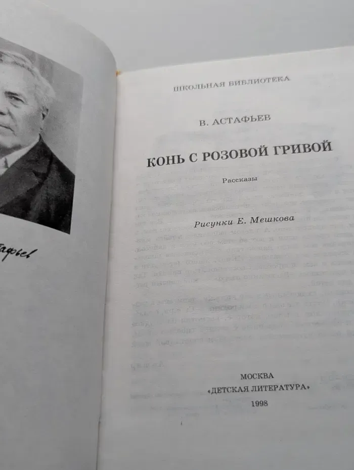Школьная библиотека. Конь с розовой гривой
