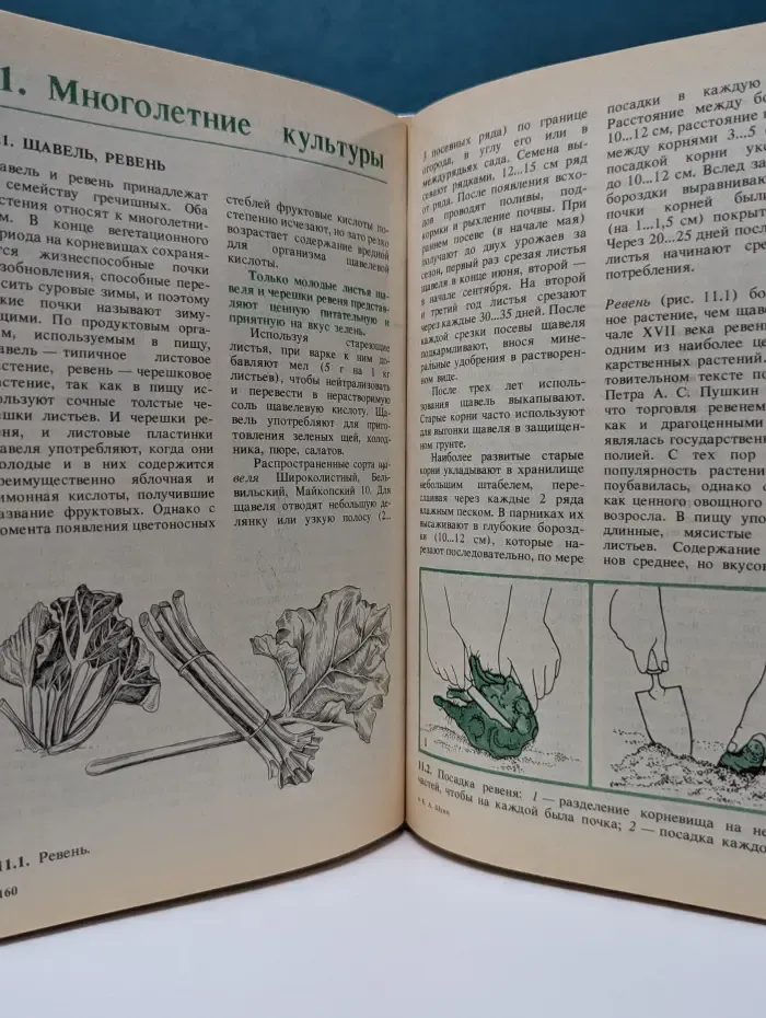 Огород с весны до осени