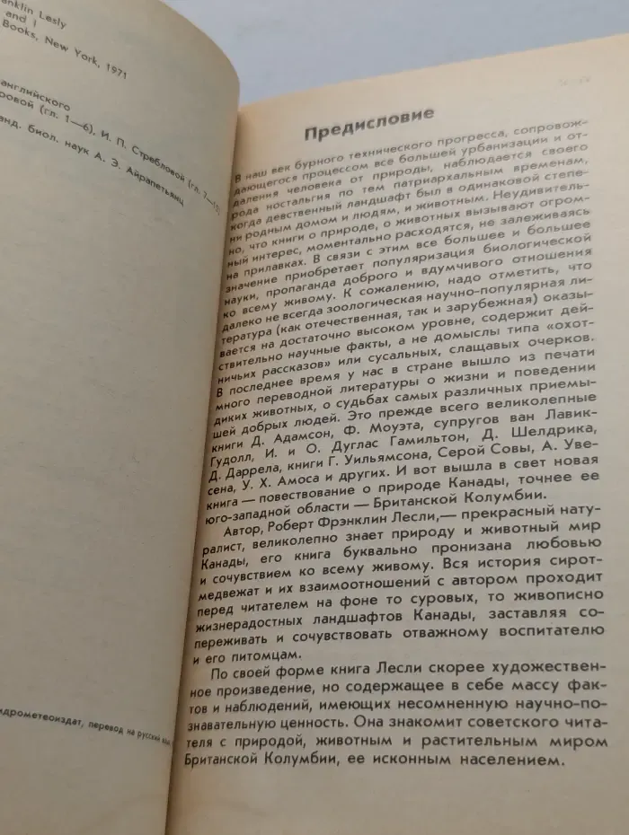 Медведи и я