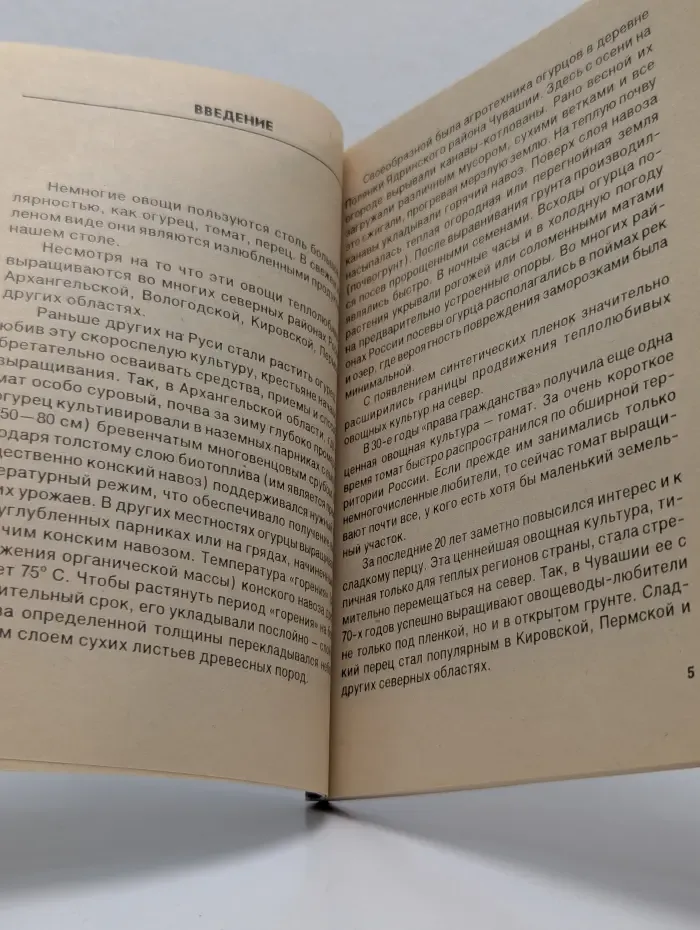 Мир усадьбы. Неженки на грядке-огурец, томат и перец