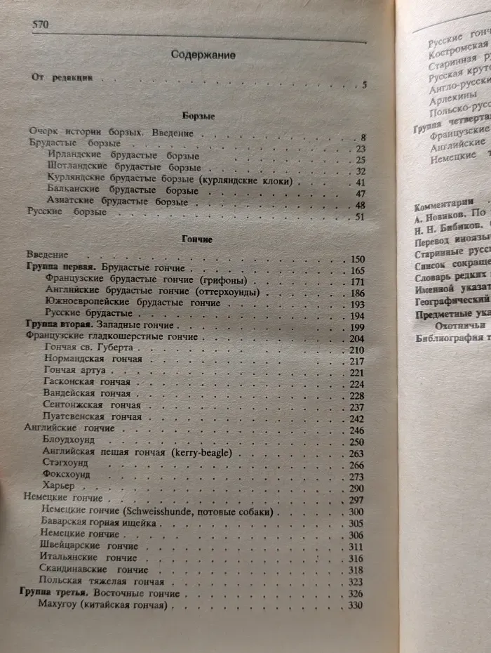 Собаки охотничьи... Борзые и гончие