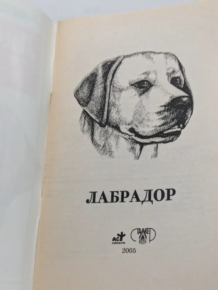 В вашем доме. Лабрадор. Разведение, уход, питание, дрессировка, болезни и их лечение
