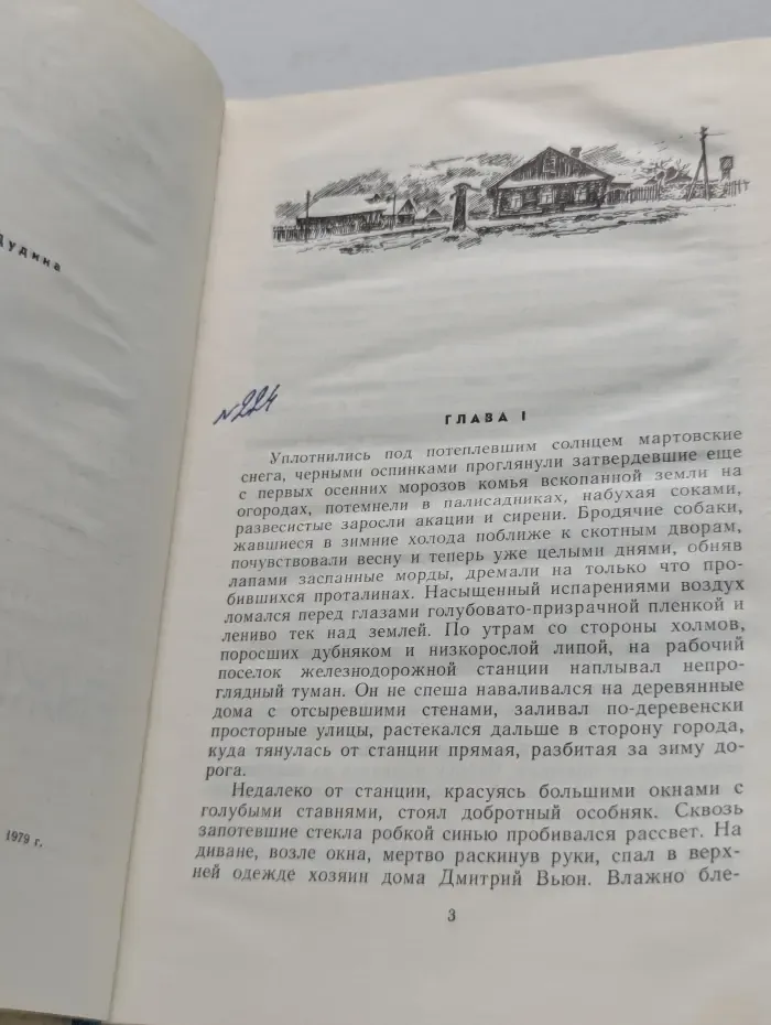 Рыжий - не рыжий